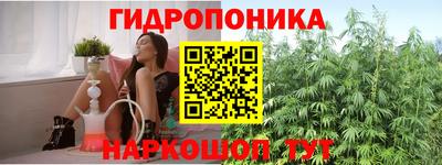 apvp Ирбит