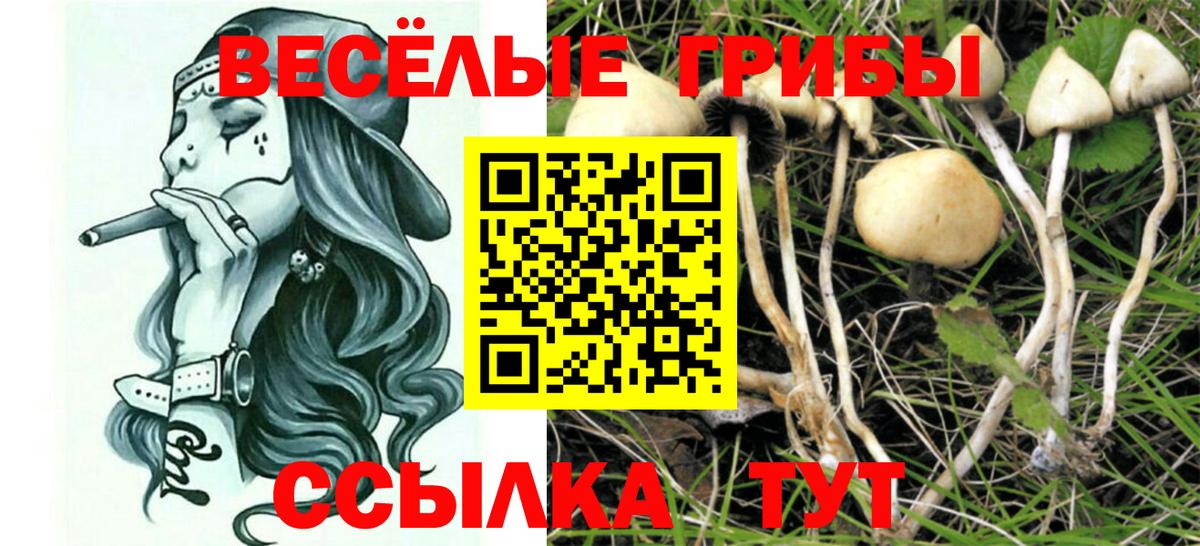 Галлюциногенные грибы мицелий Малоярославец