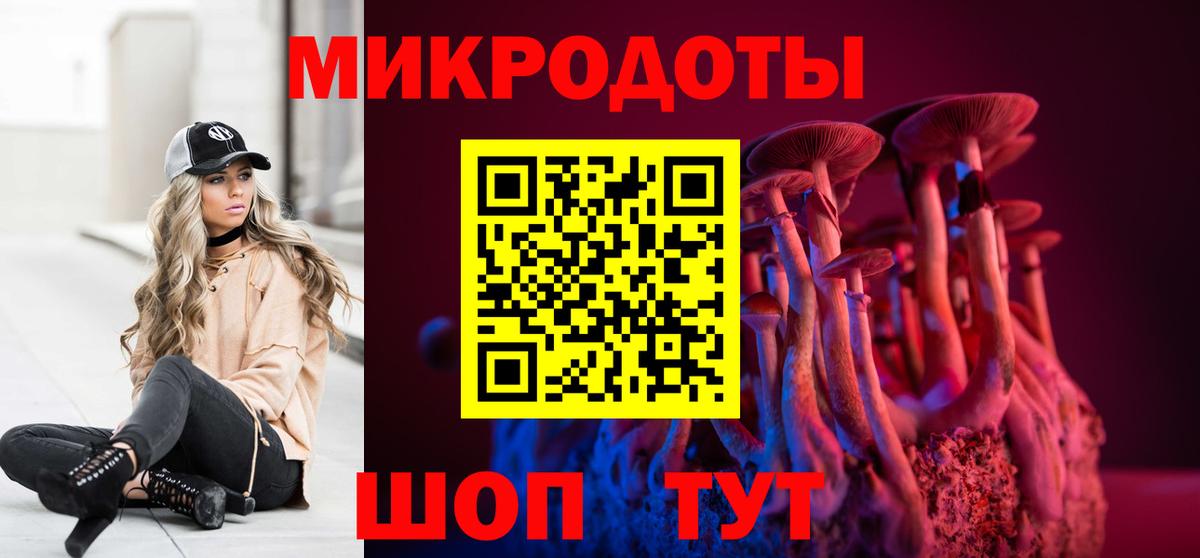 Малоярославец  как найти закладки  Вход с VPN  Галлюциногенные грибы Cubensis 